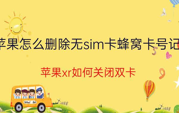 苹果怎么删除无sim卡蜂窝卡号记录 苹果xr如何关闭双卡？